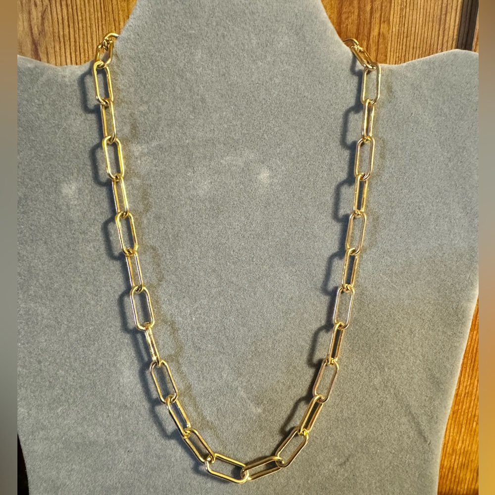 Gold Tone Simple Chain Signed EV Necklace